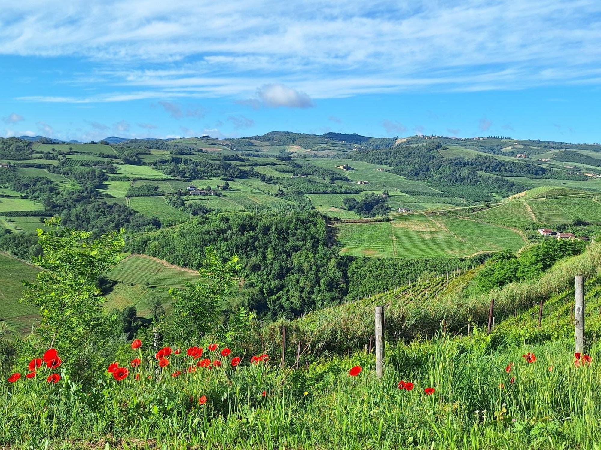 Agriturismo Ca Trinche Camo Luaran gambar