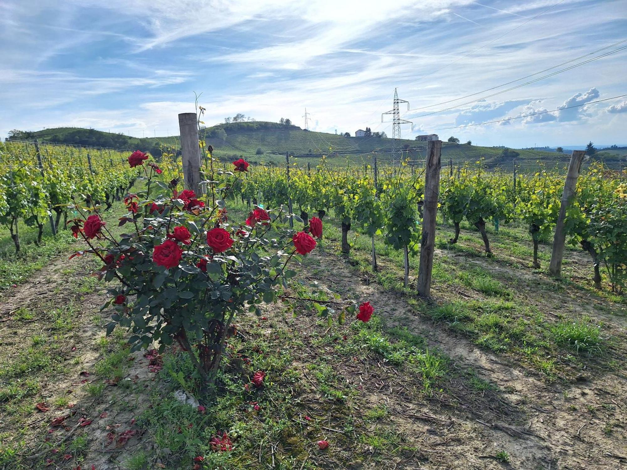 Agriturismo Ca Trinche Camo Luaran gambar