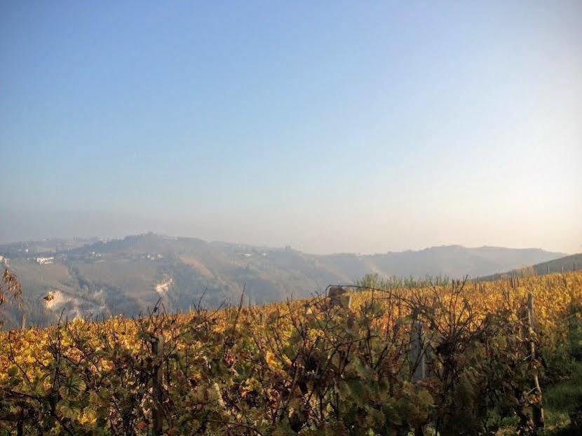 Agriturismo Ca Trinche Camo Luaran gambar